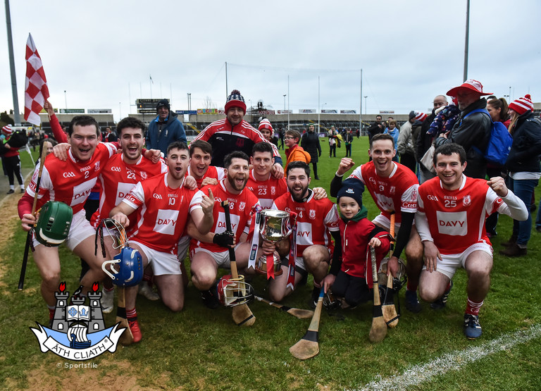 cuala 17 leinster celebrate.jpg