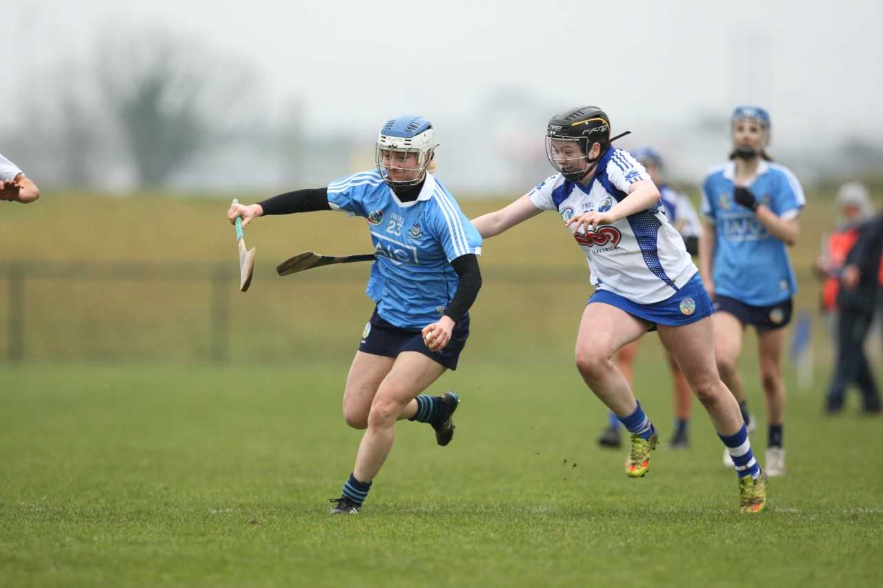 dublin senior camog v waterford hl 18.png