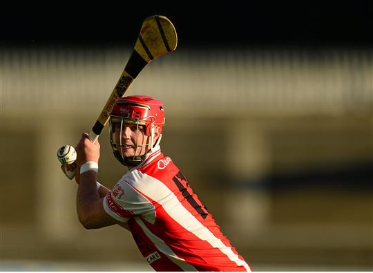 david treacy cuala free.jpg