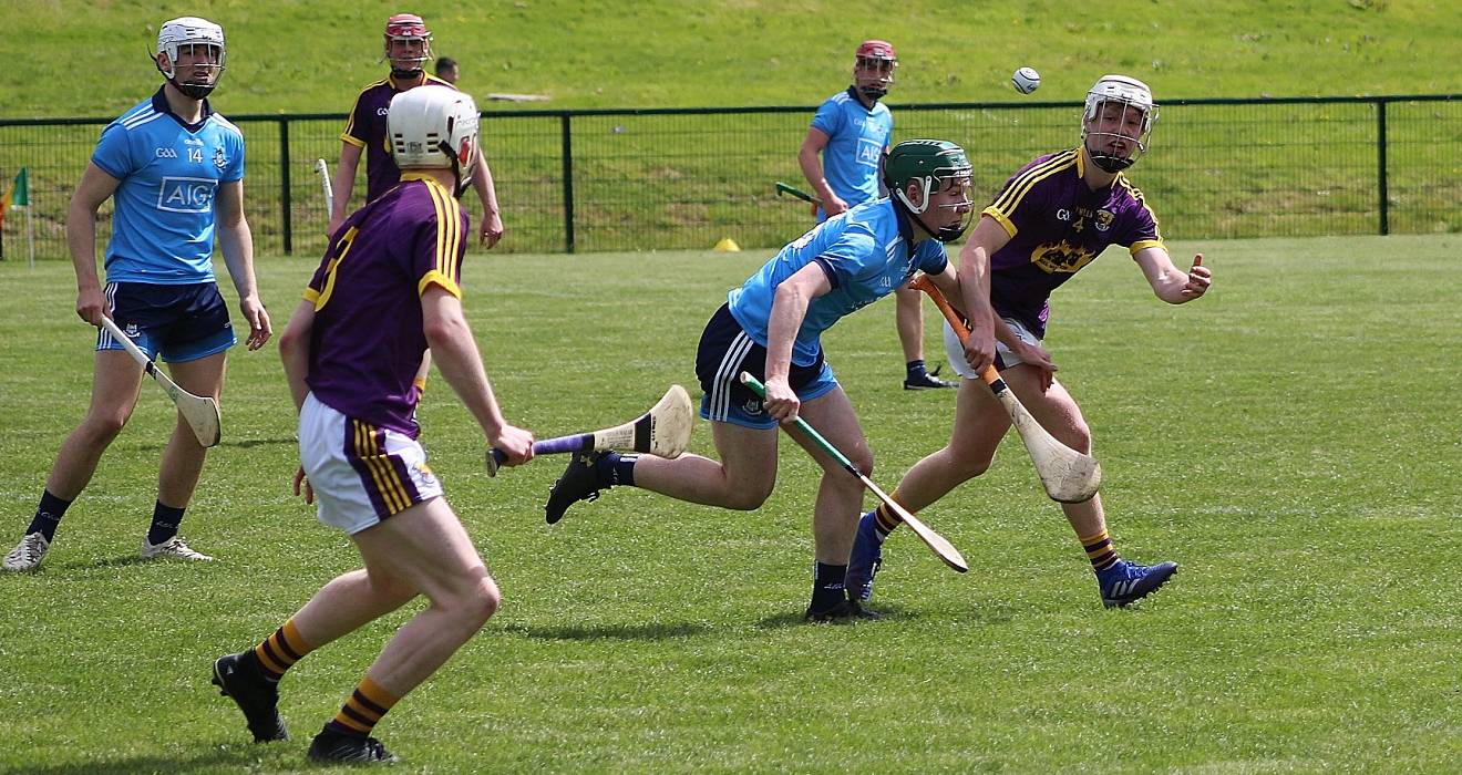 dublin minor hurlers v wexford leinster rr 19.jpg