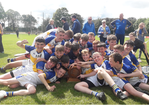 castleknock feile hurl d3 2019.png