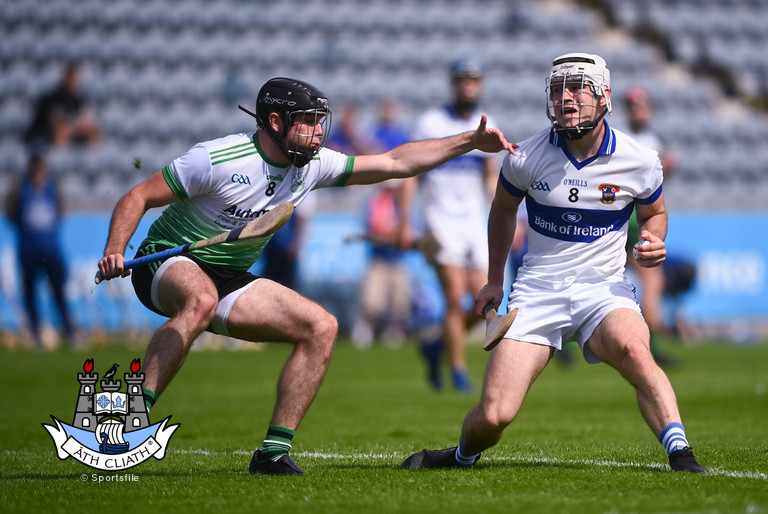 Mark Sweeney Vins v Lucan SHC A Rd 3 2020 .jpg