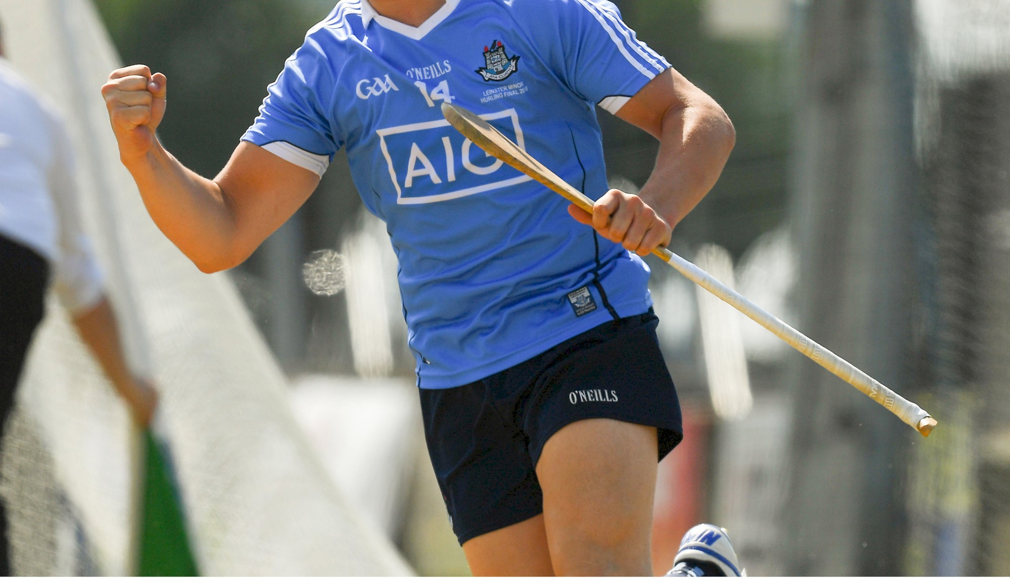 dublin minor hurling cropped pic .jpg