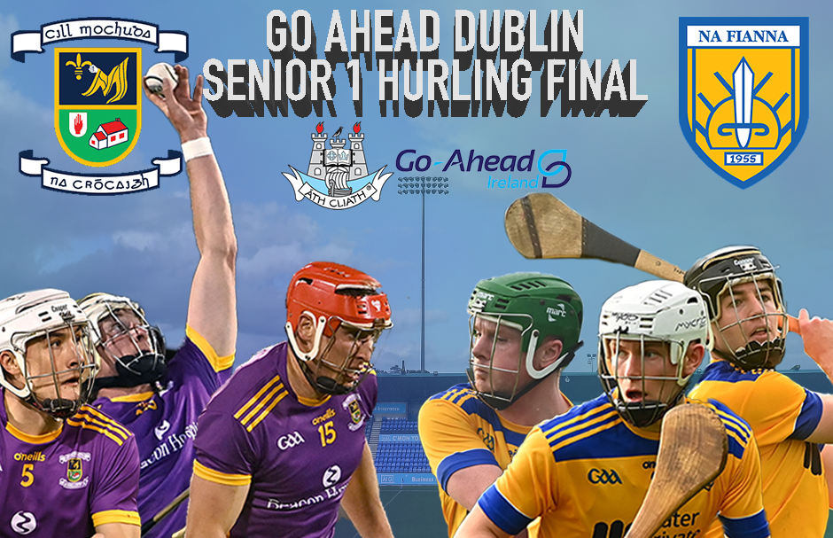 DSHCA Final GFx.png