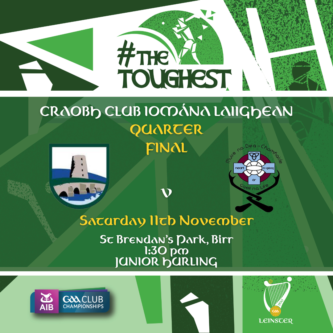 Carrig Riverstown v Good Counsel.png